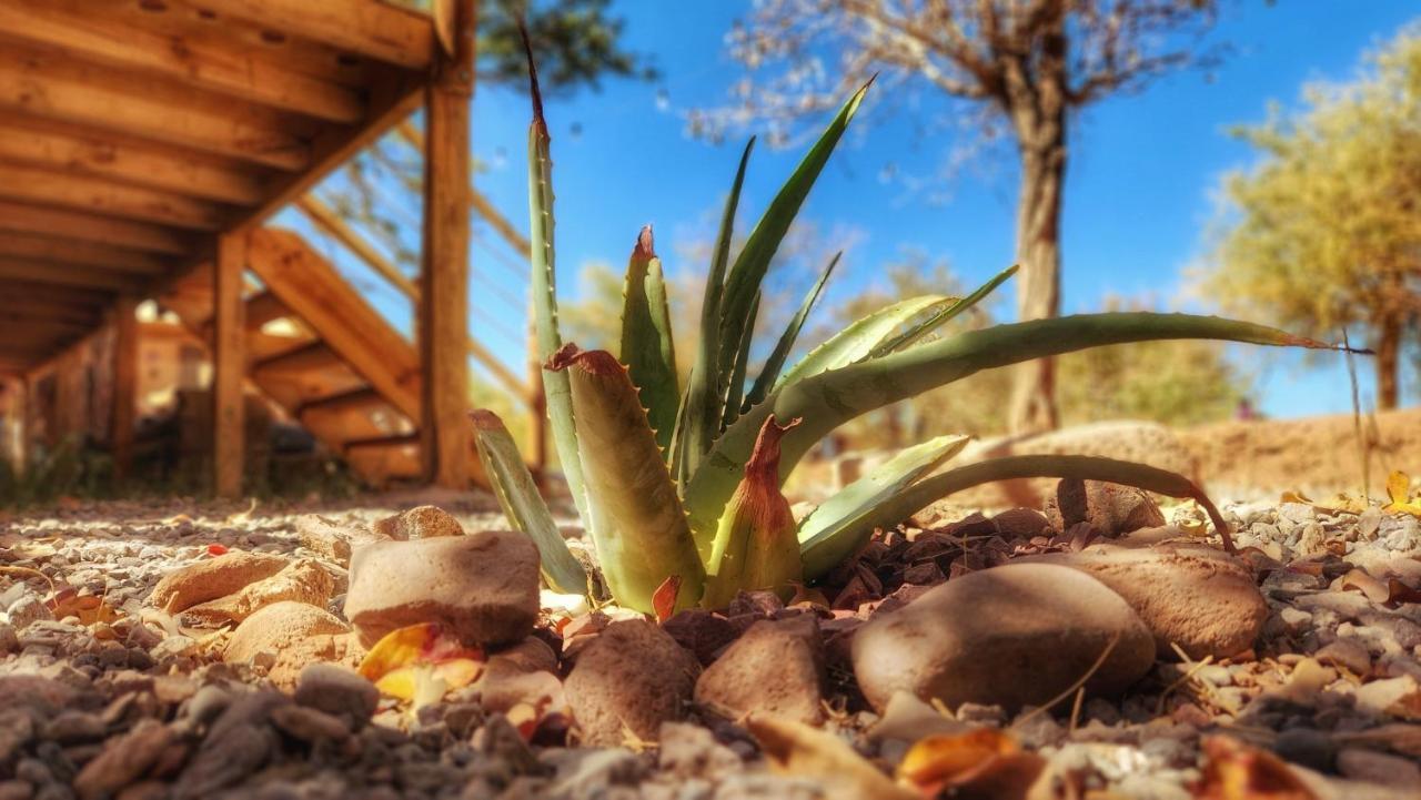 Glamping Dunas Del Sol Сан-Педро-де-Атакама Экстерьер фото